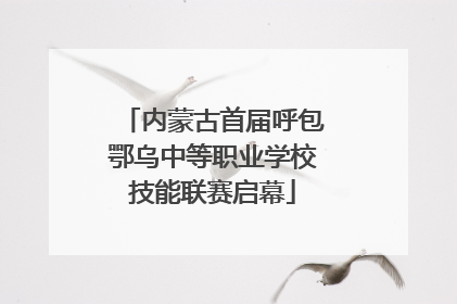 内蒙古首届呼包鄂乌中等职业学校技能联赛启幕