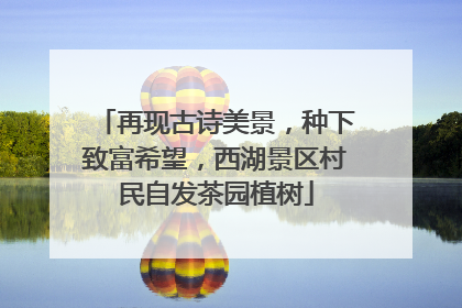 再现古诗美景，种下致富希望，西湖景区村民自发茶园植树