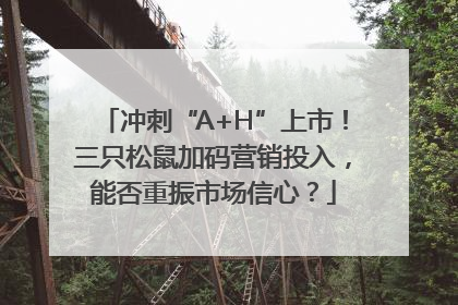 冲刺“A+H”上市！三只松鼠加码营销投入，能否重振市场信心？