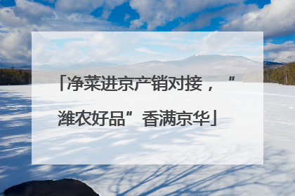 净菜进京产销对接，“潍农好品”香满京华