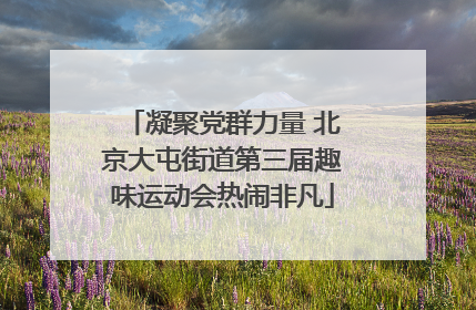 凝聚党群力量 北京大屯街道第三届趣味运动会热闹非凡