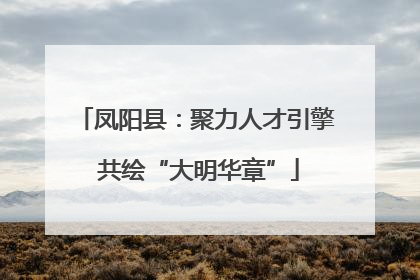 凤阳县：聚力人才引擎 共绘“大明华章”