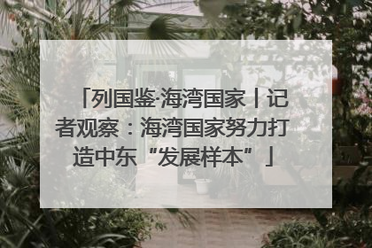列国鉴·海湾国家丨记者观察：海湾国家努力打造中东“发展样本”