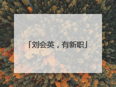 刘会英，有新职