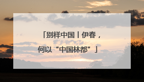 别样中国丨伊春，何以“中国林都”