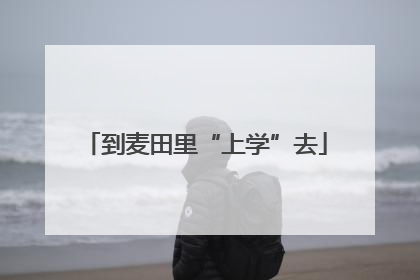到麦田里“上学”去