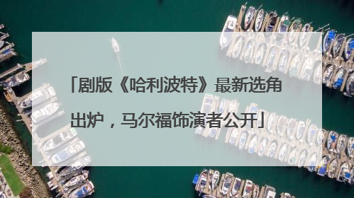 剧版《哈利波特》最新选角出炉，马尔福饰演者公开