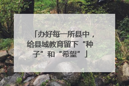 办好每一所县中，给县域教育留下“种子”和“希望”