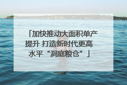加快推动大面积单产提升 打造新时代更高水平“洞庭粮仓”