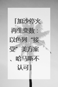 加沙停火再生变数：以色列“接受”美方案、哈马斯不认可