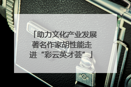 助力文化产业发展 著名作家胡性能走进“彩云英才荟”