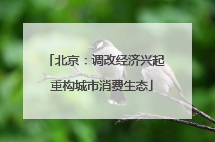 北京：调改经济兴起 重构城市消费生态