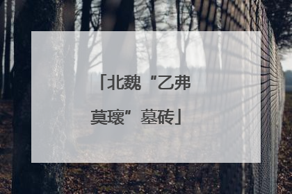 北魏“乙弗莫瓌”墓砖