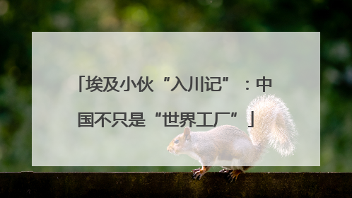 埃及小伙“入川记”：中国不只是“世界工厂”