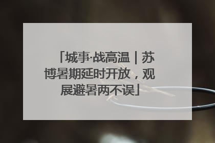 城事·战高温｜苏博暑期延时开放，观展避暑两不误
