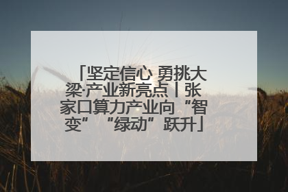 坚定信心 勇挑大梁·产业新亮点丨张家口算力产业向“智变”“绿动”跃升