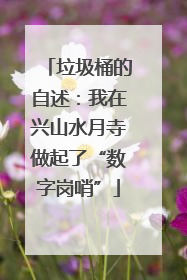 垃圾桶的自述：我在兴山水月寺做起了“数字岗哨”