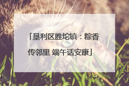 垦利区胜坨镇：粽香传邻里 端午话安康