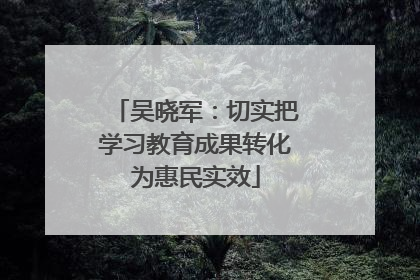 吴晓军：切实把学习教育成果转化为惠民实效