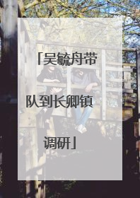 吴毓舟带队到长卿镇调研