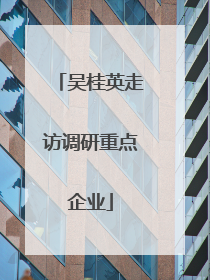 吴桂英走访调研重点企业