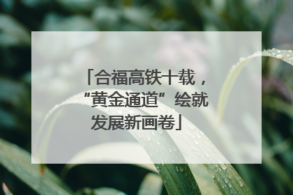 合福高铁十载，“黄金通道”绘就发展新画卷