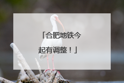 合肥地铁今起有调整！