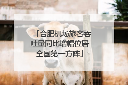 合肥机场旅客吞吐量同比增幅位居全国第一方阵