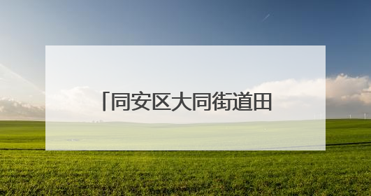 同安区大同街道田洋村：文旅出圈 网红村探索长红路