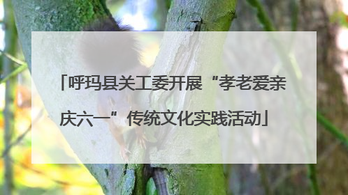 呼玛县关工委开展“孝老爱亲庆六一”传统文化实践活动
