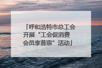 呼和浩特市总工会开展“工会促消费 会员享普惠”活动