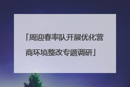 周迎春率队开展优化营商环境整改专题调研