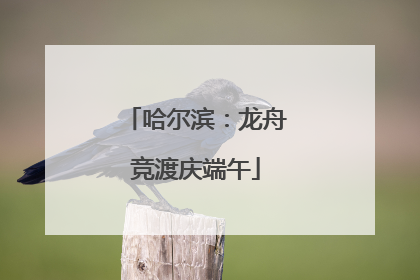哈尔滨：龙舟竞渡庆端午