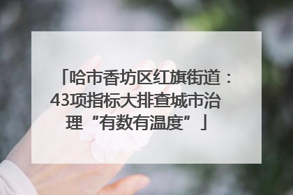 哈市香坊区红旗街道：43项指标大排查城市治理“有数有温度”