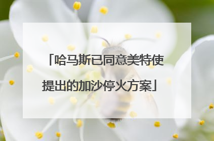 哈马斯已同意美特使提出的加沙停火方案