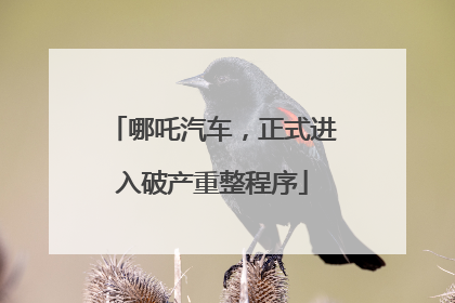 哪吒汽车，正式进入破产重整程序