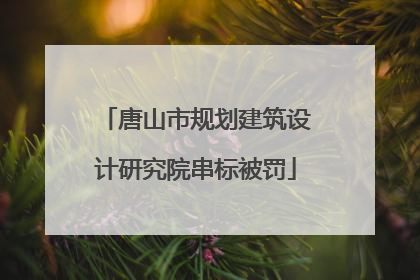 唐山市规划建筑设计研究院串标被罚