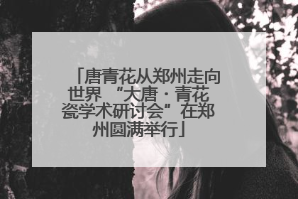 唐青花从郑州走向世界 “大唐・青花瓷学术研讨会”在郑州圆满举行