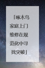 啄木鸟家庭上门维修在规范化中寻找突破