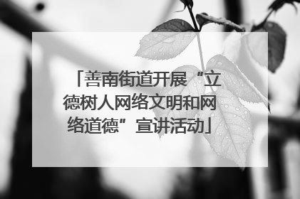 善南街道开展“立德树人网络文明和网络道德”宣讲活动