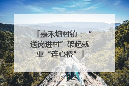 嘉禾塘村镇：“送岗进村”架起就业“连心桥”