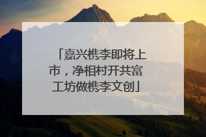 嘉兴槜李即将上市，净相村开共富工坊做槜李文创