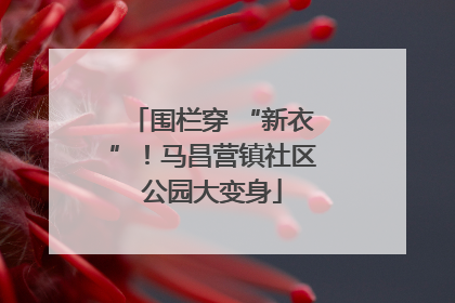 围栏穿 “新衣”！马昌营镇社区公园大变身