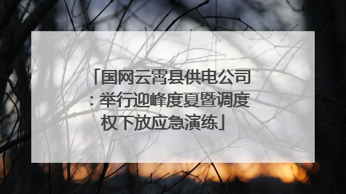 国网云霄县供电公司：举行迎峰度夏暨调度权下放应急演练