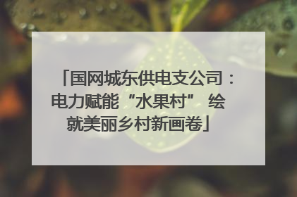 国网城东供电支公司：电力赋能“水果村” 绘就美丽乡村新画卷