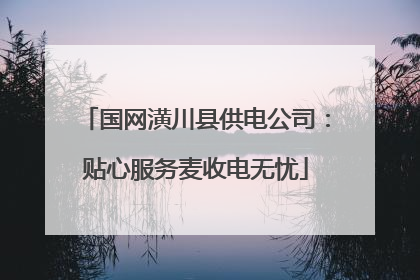 国网潢川县供电公司：贴心服务麦收电无忧