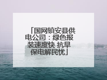 国网镇安县供电公司：绿色报装速度快 抗旱保电解民忧