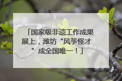国家级非遗工作成果展上，潍坊“风筝怪才”成全国唯一！