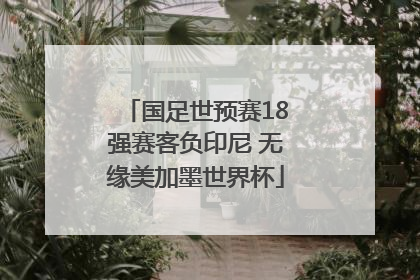 国足世预赛18强赛客负印尼 无缘美加墨世界杯
