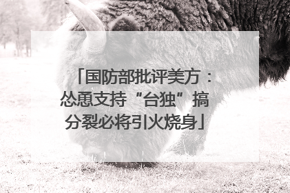 国防部批评美方：怂恿支持“台独”搞分裂必将引火烧身
